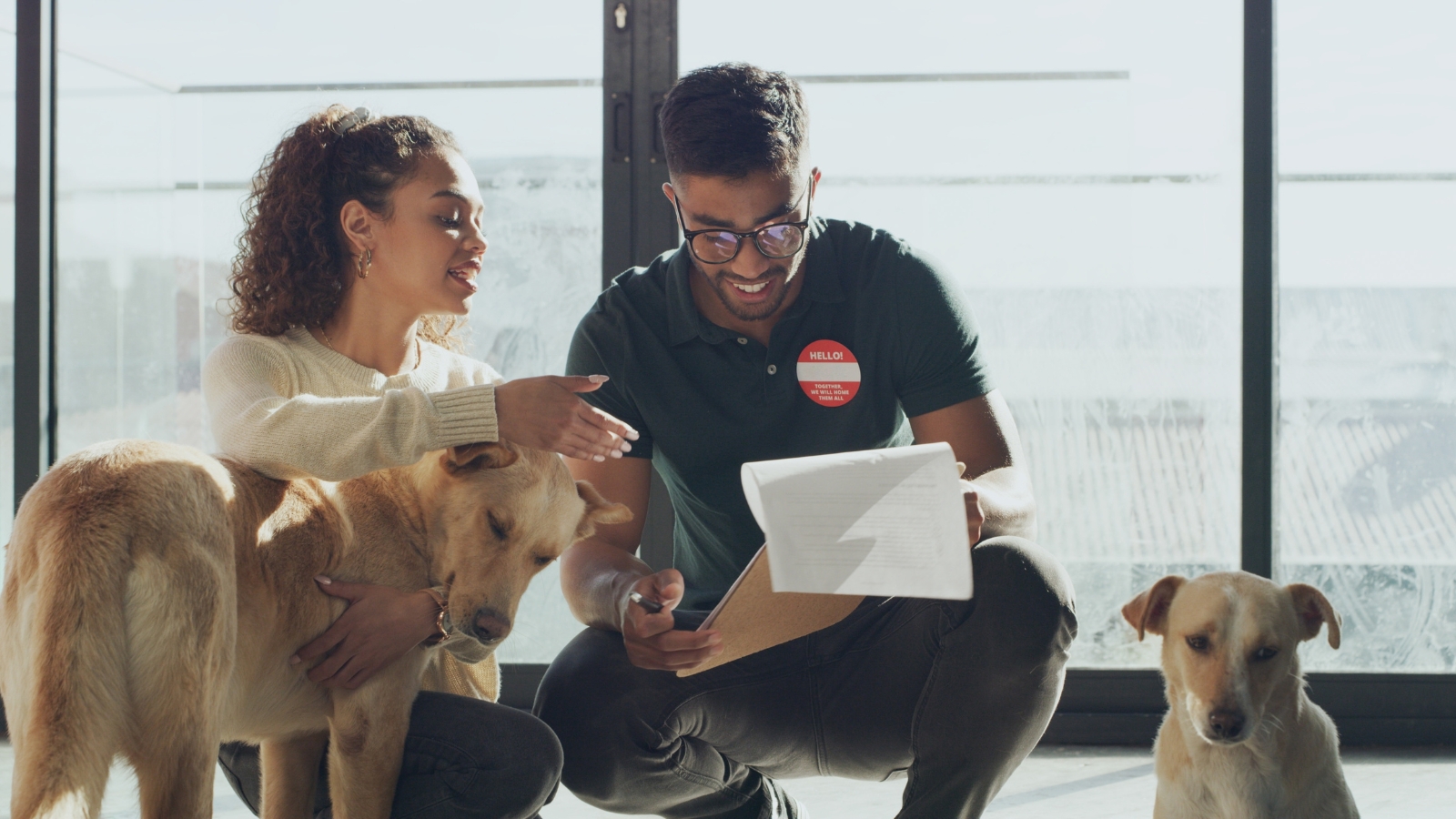 A couple interacts with Indian pariah dogs with short tan coats, upright ears, and alert expressions while reviewing paperwork in an adoption setting.