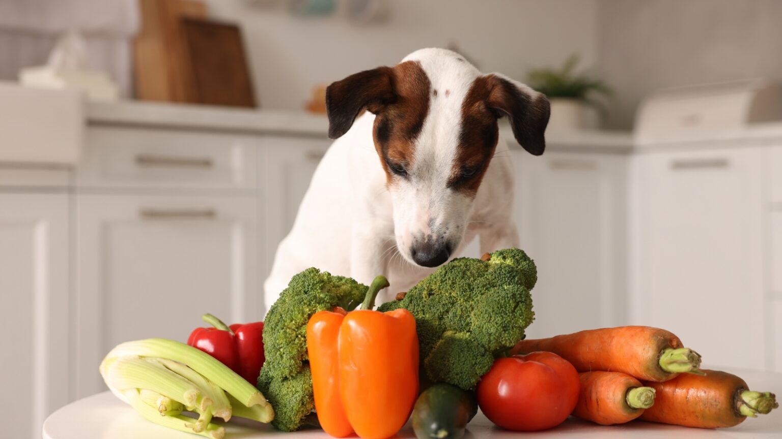 15 Vegetables Safe for Dogs (Vet-Approved List)