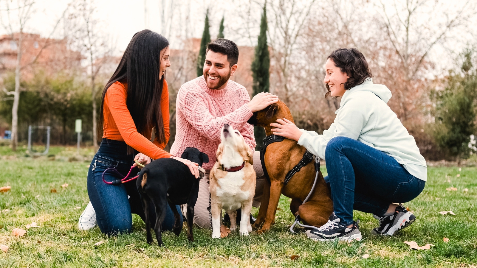 Three smiling people crouch on green grass in a park, happily petting three different dogs, including a small black terrier mix, a yellow Beagle, and a large brown Boxer mix.