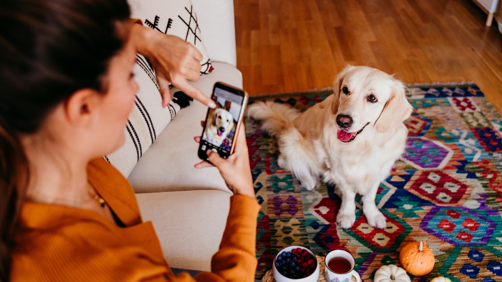 An over-the-shoulder shot of a woman using her smartphone to take a picture of a cream-colored Golden Retriever sitting happily on a colorful geometric rug.