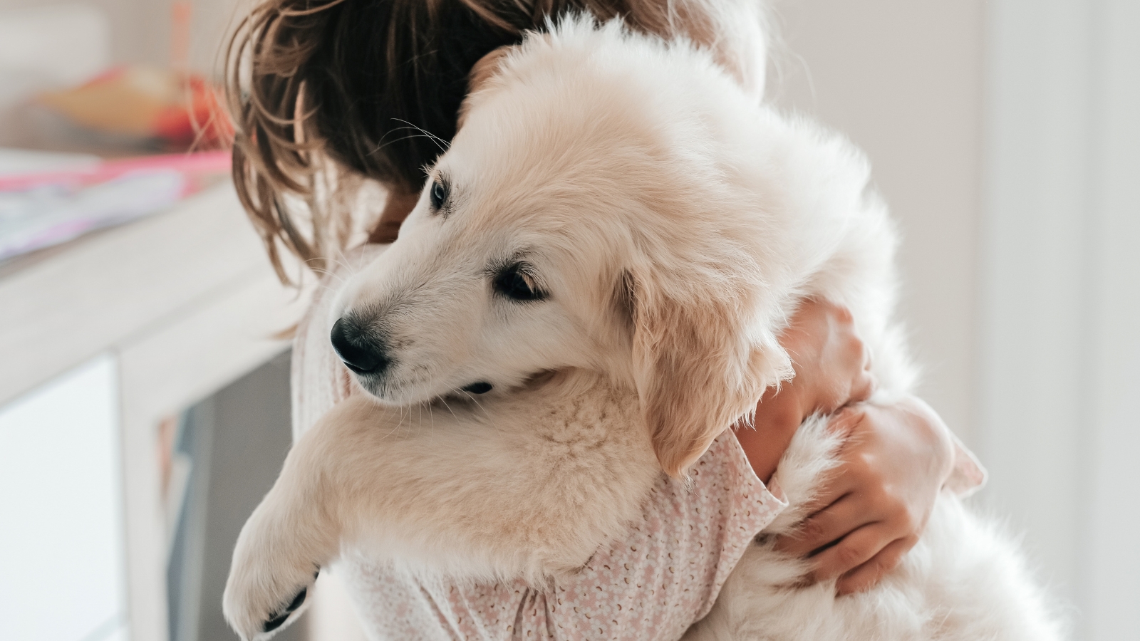 Child Hugging Dog That is Uncomfortable With Being Hugged